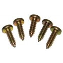 Picture of T25 Oval Head Panel Screw (Lower Grille)