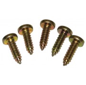 Picture of T25 Oval Head Panel Screw (Lower Grille)
