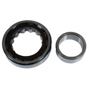 Picture of Beetle Wheel bearing Rear outer 1302/03