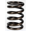 Picture of Type 2 Valve spring 1.7 to 2.0