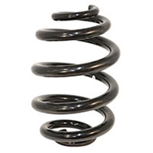 Picture of Rear Suspension Coil Spring