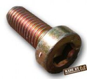 Picture of German quality retaining bolt for disc 68-03