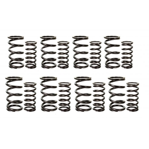 Picture of Valve Spring Set Racing Dual